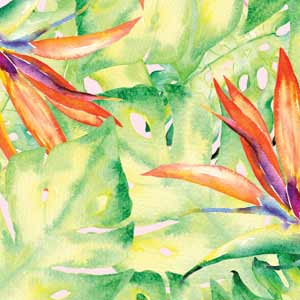 Floral Tropics Nintendo 2DS XL (2017) Skin